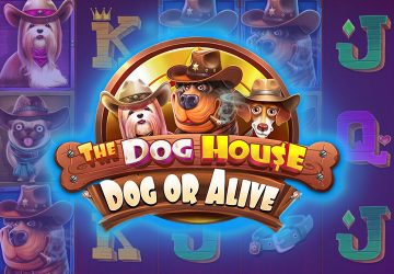 Автомат The Dog House Dog Or Alive в All Right Casino